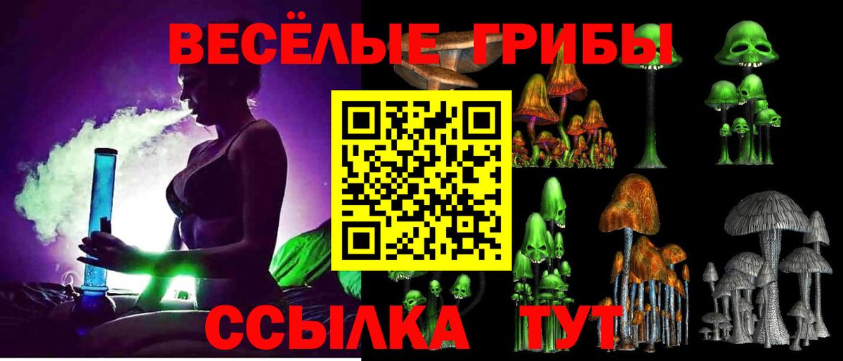 Псилоцибиновые грибы Psilocybe Дюртюли